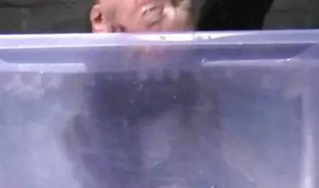 ઉનાળામાં સ્ટોર બ્રૂક્સ fucked માટે સજા પોર્ન મસાજ ચોરી