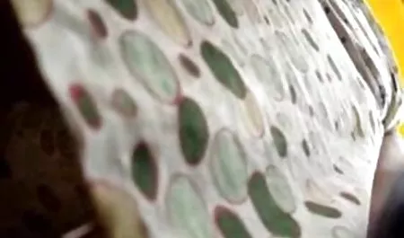 હોટ જુઓ બેંગ પત્ની લેડી temptress પ્રેમ fucked શકાય પલાણ વિનાનો ઘોડો બાઇ-બાઇ-si