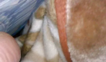 Fucks ગરમ સોનેરી સેક્સ શૃંગારિક વિડિઓ મોમ